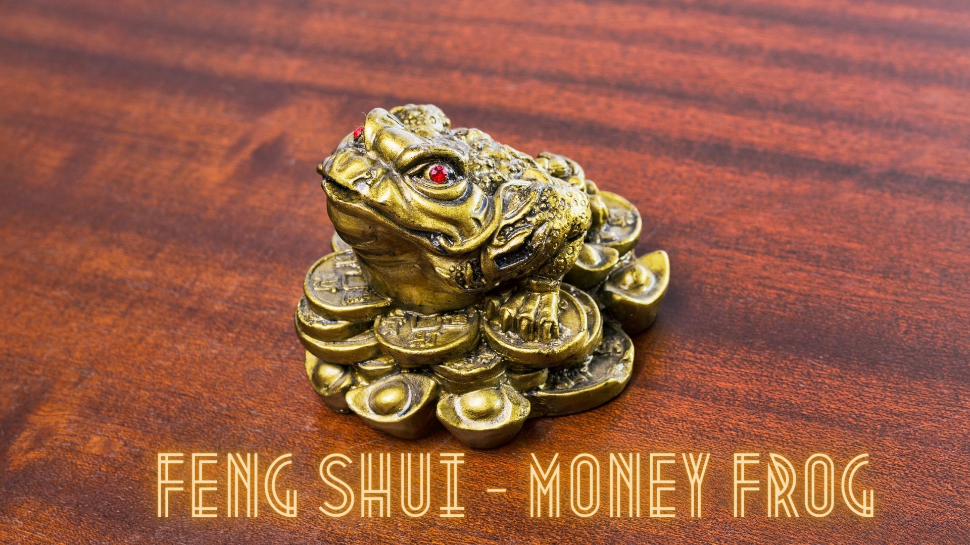 Feng Shui – Money Frog